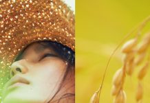 Little Forest: Summer/Autumn