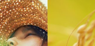 Little Forest: Summer/Autumn