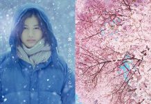 Little Forest: Winter/Spring