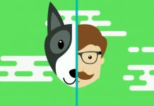 เทียบอายุหมา เทียบอายุหมา