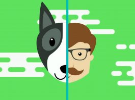 เทียบอายุหมา เทียบอายุหมา