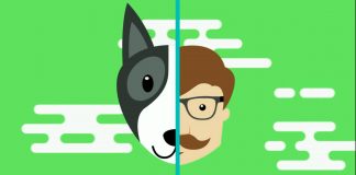 เทียบอายุหมา เทียบอายุหมา