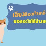 sr057_cat-sounds-20160821t071826z
