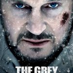 the-grey