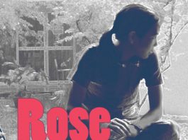 ก้อนหินก้อนนั้น