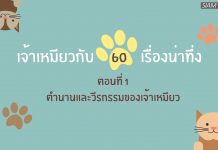 เจ้าเหมียวกับ 60 เรื่องชวนทึ่ง ตอนที่ 1