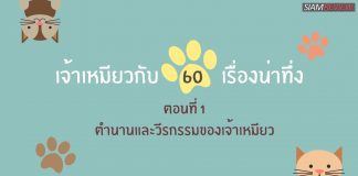 เจ้าเหมียวกับ 60 เรื่องชวนทึ่ง ตอนที่ 1
