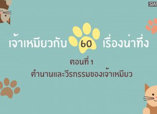 เจ้าเหมียวกับ 60 เรื่องชวนทึ่ง ตอนที่ 1