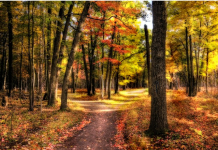 จากเริ่มต้นจนวันสุดท้าย