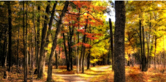 จากเริ่มต้นจนวันสุดท้าย