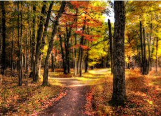 จากเริ่มต้นจนวันสุดท้าย