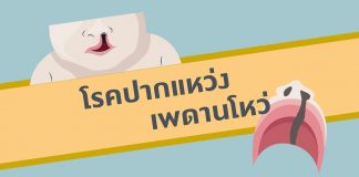 ศัลยกรรมตกแต่งตอนที่ 3: โรคปากแหว่ง เพดานโหว่ ศัลยกรรมตกแต่งตอนที่ 3: โรคปากแหว่ง เพดานโหว่