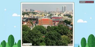 50 Reasons to Love Bangkok #8 Green