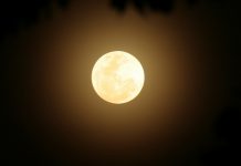 ดีที่สุด ณ ขณะนี้