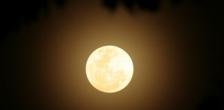 ดีที่สุด ณ ขณะนี้