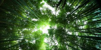 ความสุข ณ จุดที่ยืนอยู่