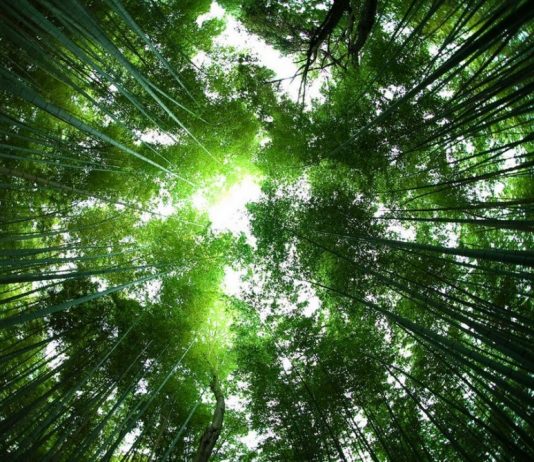 ความสุข ณ จุดที่ยืนอยู่