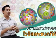 ความแตกต่างของไวรัสและแบคทีเรีย