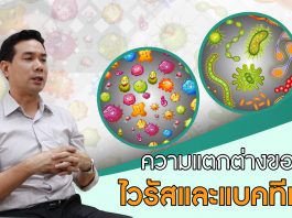 ความแตกต่างของไวรัสและแบคทีเรีย