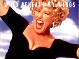 Wind Beneath My Wings