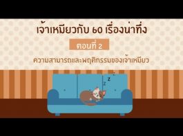 เจ้าเหมียวกับ 60 เรื่องชวนทึ่ง ตอนที่ 2 เจ้าเหมียวกับ 60 เรื่องชวนทึ่ง ตอนที่ 2