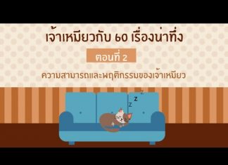 เจ้าเหมียวกับ 60 เรื่องชวนทึ่ง ตอนที่ 2 เจ้าเหมียวกับ 60 เรื่องชวนทึ่ง ตอนที่ 2