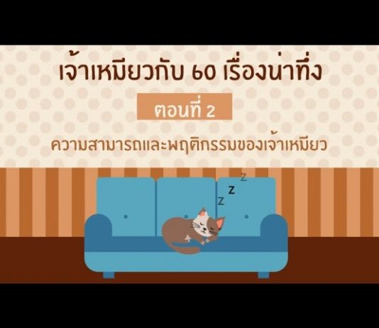 เจ้าเหมียวกับ 60 เรื่องชวนทึ่ง ตอนที่ 2 เจ้าเหมียวกับ 60 เรื่องชวนทึ่ง ตอนที่ 2