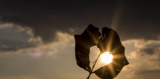 ความรักเป็นความทุกข์ (เหรอ)