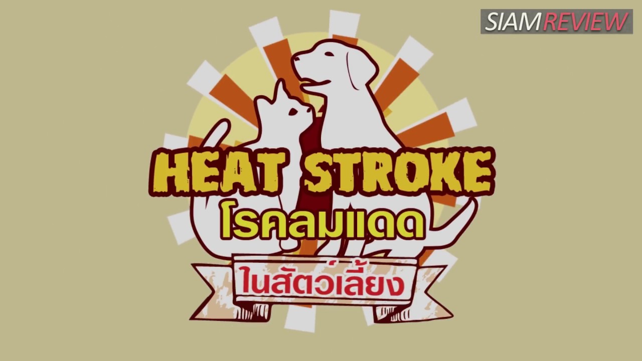 โรคลมแดด (Heat Stroke) ในสัตว์เลี้ยง