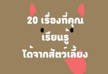 20 เรื่องที่คุณเรียนรู้ได้จากสัตว์เลี้ยง ตอนที่ 1