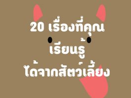 20 เรื่องที่คุณเรียนรู้ได้จากสัตว์เลี้ยง ตอนที่ 1 20 เรื่องที่คุณเรียนรู้ได้จากสัตว์เลี้ยง ตอนที่ 1