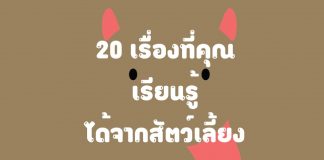 20 เรื่องที่คุณเรียนรู้ได้จากสัตว์เลี้ยง ตอนที่ 1 20 เรื่องที่คุณเรียนรู้ได้จากสัตว์เลี้ยง ตอนที่ 1