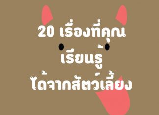 20 เรื่องที่คุณเรียนรู้ได้จากสัตว์เลี้ยง ตอนที่ 1 20 เรื่องที่คุณเรียนรู้ได้จากสัตว์เลี้ยง ตอนที่ 1