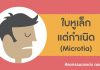 ศัลยกรรมตกแต่ง ตอนที่ 7: ใบหูเล็กแต่กำเนิด