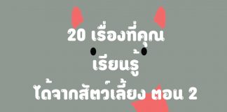 20 เรื่องที่คุณเรียนรู้ได้จากสัตว์เลี้ยง ตอนที่ 2 20 เรื่องที่คุณเรียนรู้ได้จากสัตว์เลี้ยง ตอนที่ 2