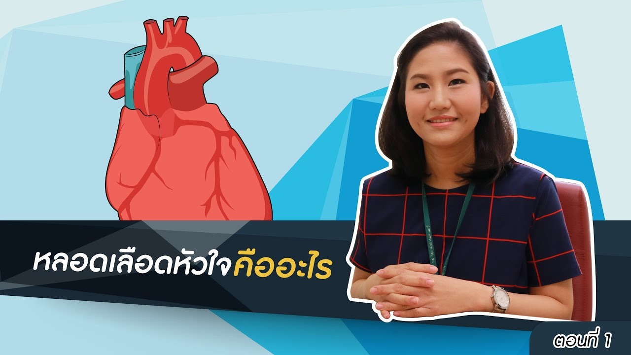 หลอดเลือดหัวใจ ตอนที่ 1: หลอดเลือดหัวใจคืออะไร