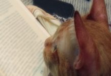 วันสุนทรภู่