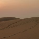 desert-1773641_1920