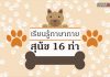 เรียนรู้ภาษากายสุนัข 16 ท่า