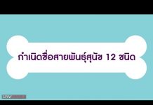 กำเนิดชื่อสายพันธุ์สุนัข 12 ชนิด