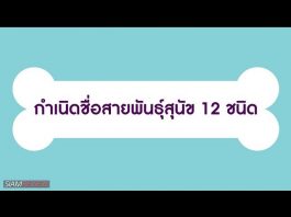 กำเนิดชื่อสายพันธุ์สุนัข 12 ชนิด กำเนิดชื่อสายพันธุ์สุนัข 12 ชนิด