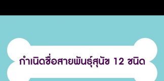 กำเนิดชื่อสายพันธุ์สุนัข 12 ชนิด กำเนิดชื่อสายพันธุ์สุนัข 12 ชนิด