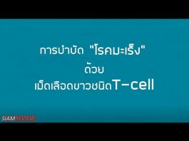 การบำบัดโรคมะเร็งด้วยเม็ดเลือดขาวชนิด T-cell การบำบัดโรคมะเร็งด้วยเม็ดเลือดขาวชนิด T-cell