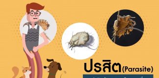 ปรสิตน้อยกลอยใจ ตอนที่ 1: ปรสิตคืออะไร