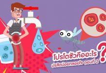 ปรสิตน้อยกลอยใจ ตอนที่ 2: โปรโตซัวคืออะไร