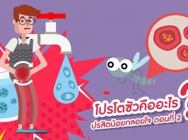 ปรสิตน้อยกลอยใจ ตอนที่ 2: โปรโตซัวคืออะไร