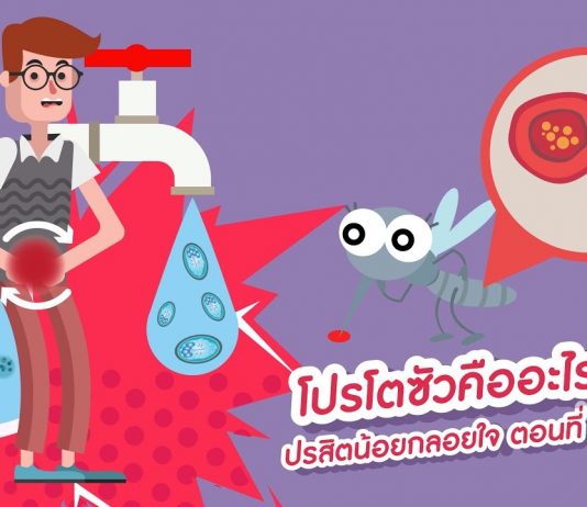 ปรสิตน้อยกลอยใจ ตอนที่ 2: โปรโตซัวคืออะไร