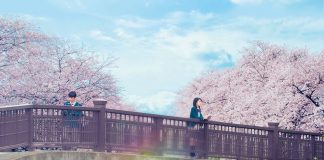 Let Me Eat Your Pancreas