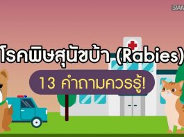 โรคพิษสุนัขบ้า (Rabies): 13 คำถามควรรู้!