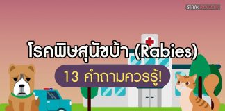 โรคพิษสุนัขบ้า (Rabies): 13 คำถามควรรู้!